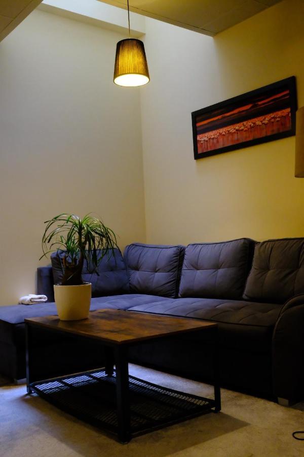 City Apartment Getta Krakow Bagian luar foto